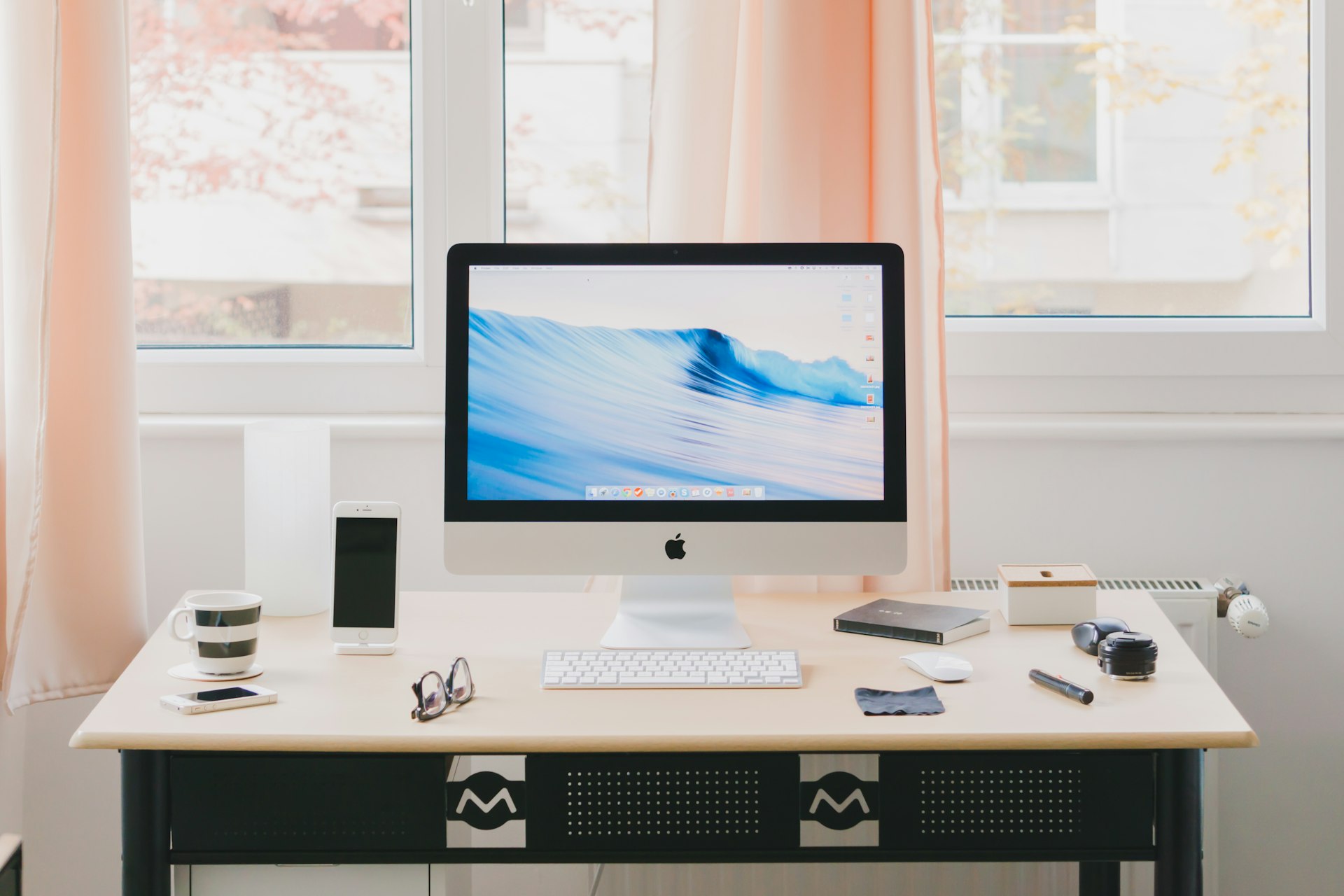 What is Project Management?