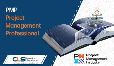 PMP Project Management Professional