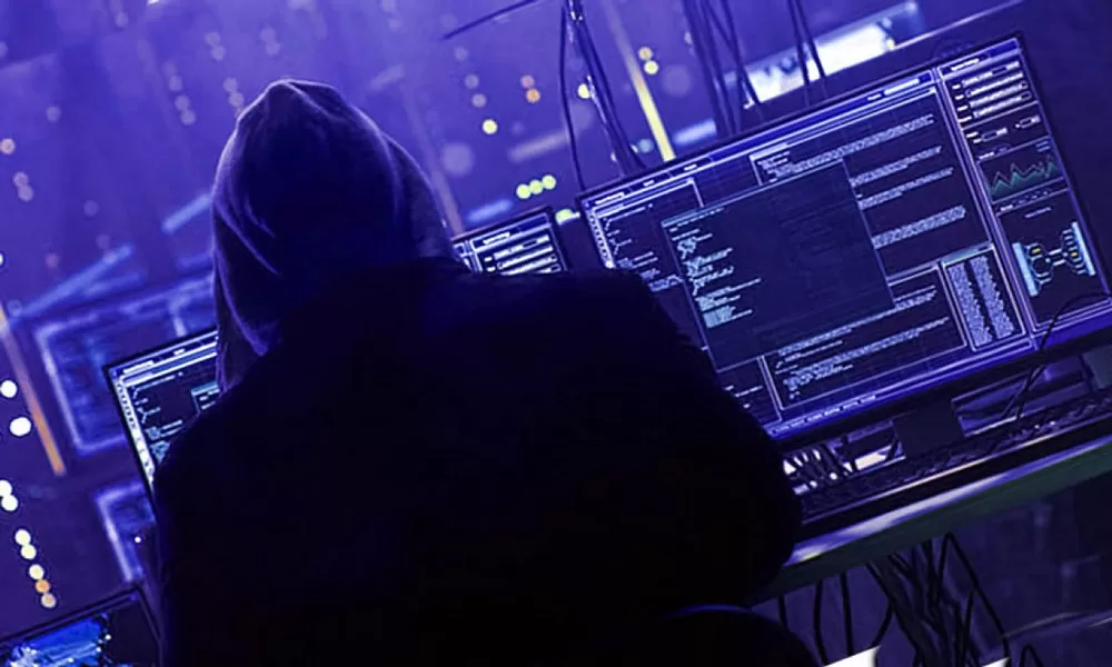 professional hacker course