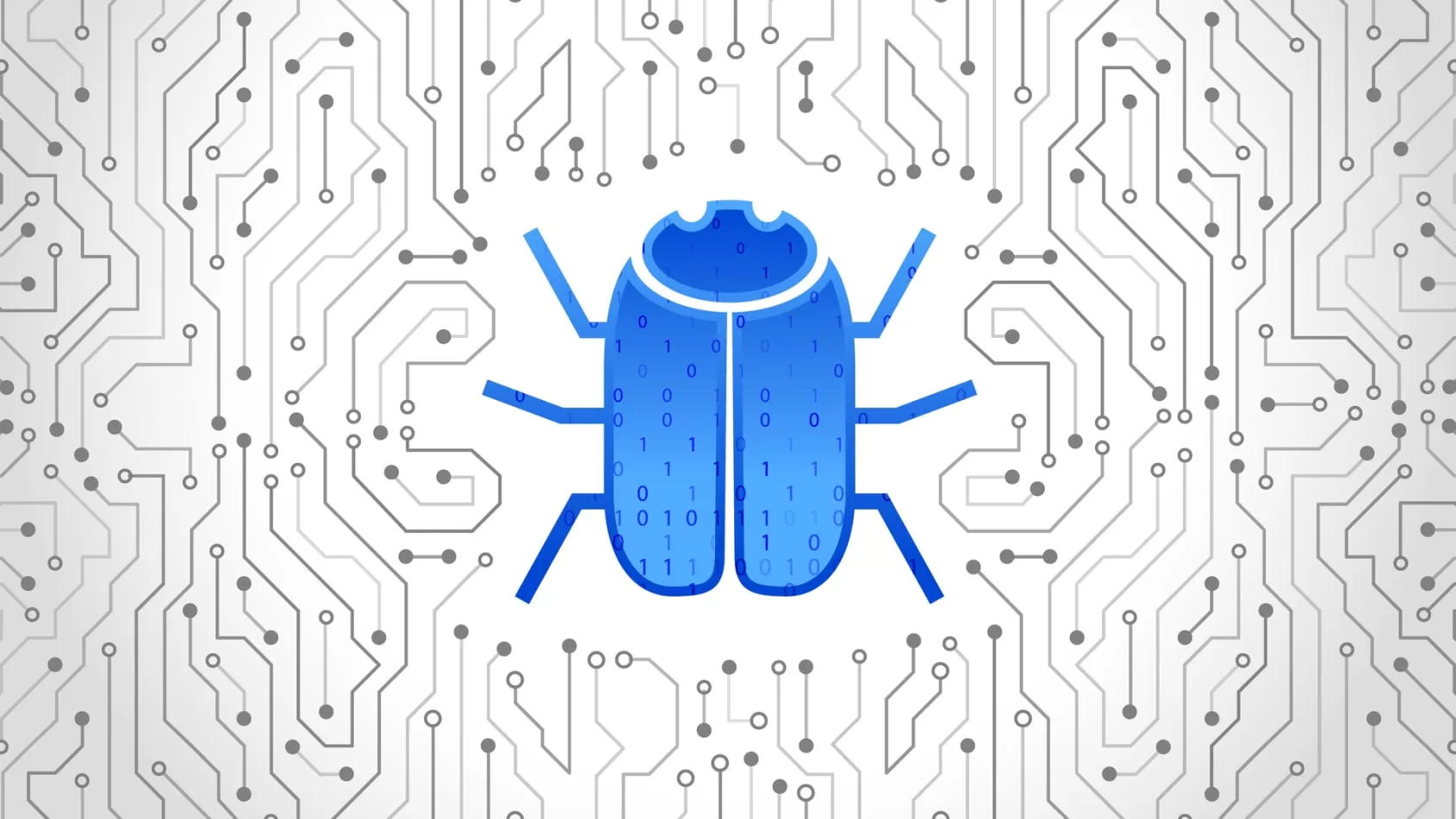 Bug Bounty Programs